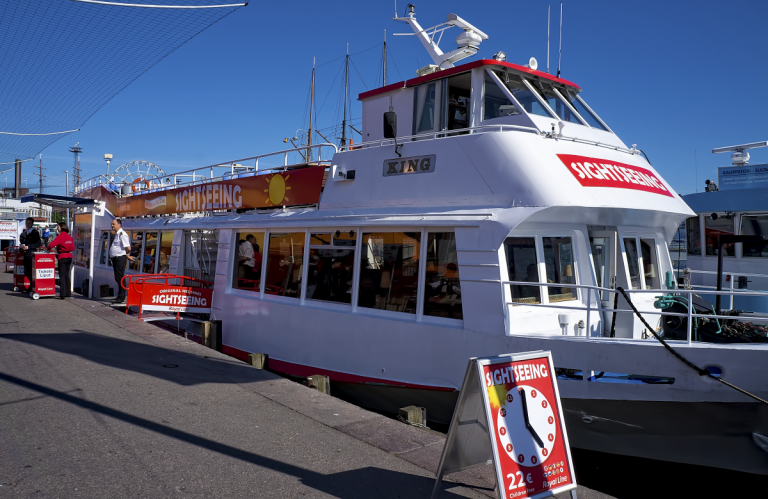 Person in charge lic marxcela paulina navas de calderón